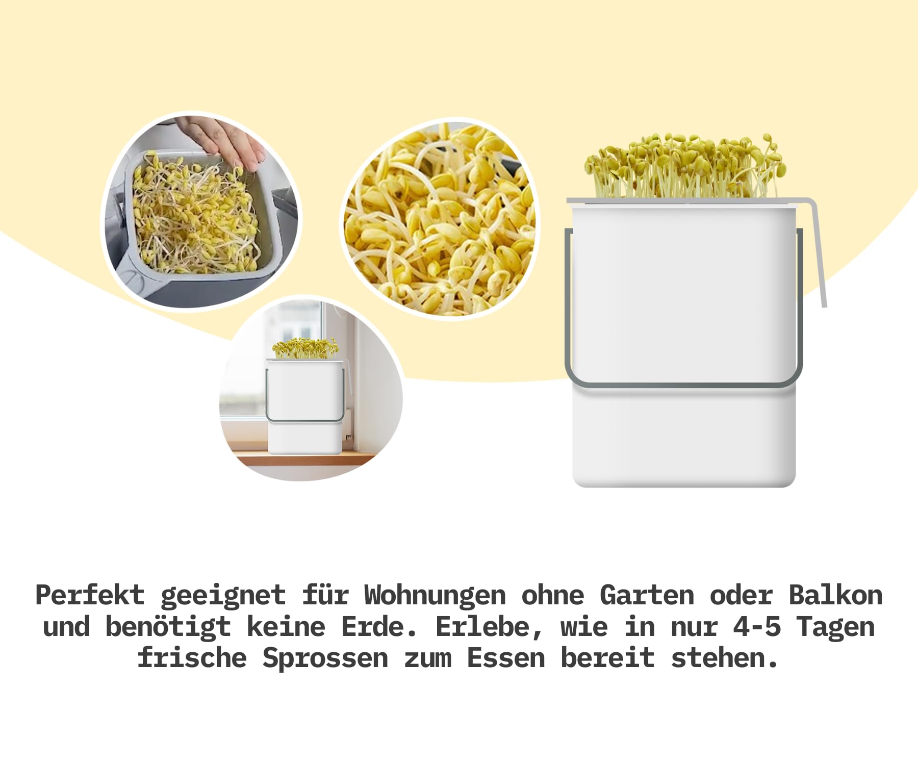 Sojasprossen-Anzuchtset All-in-One | Komplettset für Zuhause: Einfach, Schnell & Vielseitig | Ideal für Familien und Bildungseinrichtungen | Mit Sojabohnen (Sojabohnensprossen-Anzuchtset)