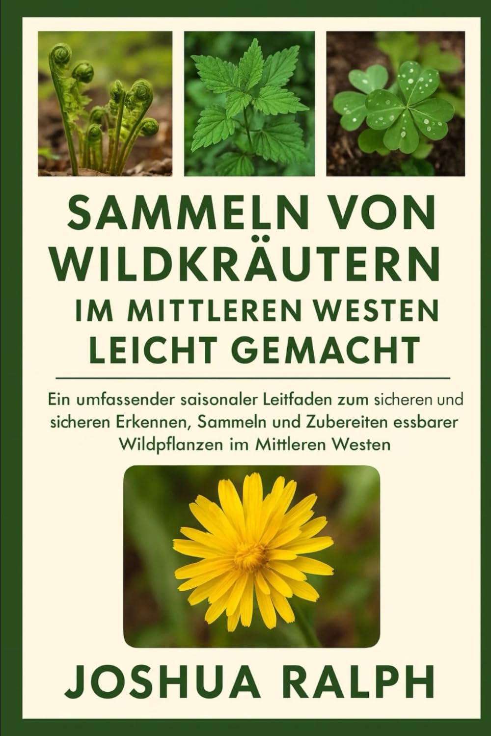 Sammeln von Wildkräutern im Mittleren Westen leicht gemacht: Ein umfassender saisonaler Leitfaden zum sicheren und sicheren Erkennen, Sammeln und Zubereiten essbarer Wildpflanzen im Mittleren Westen