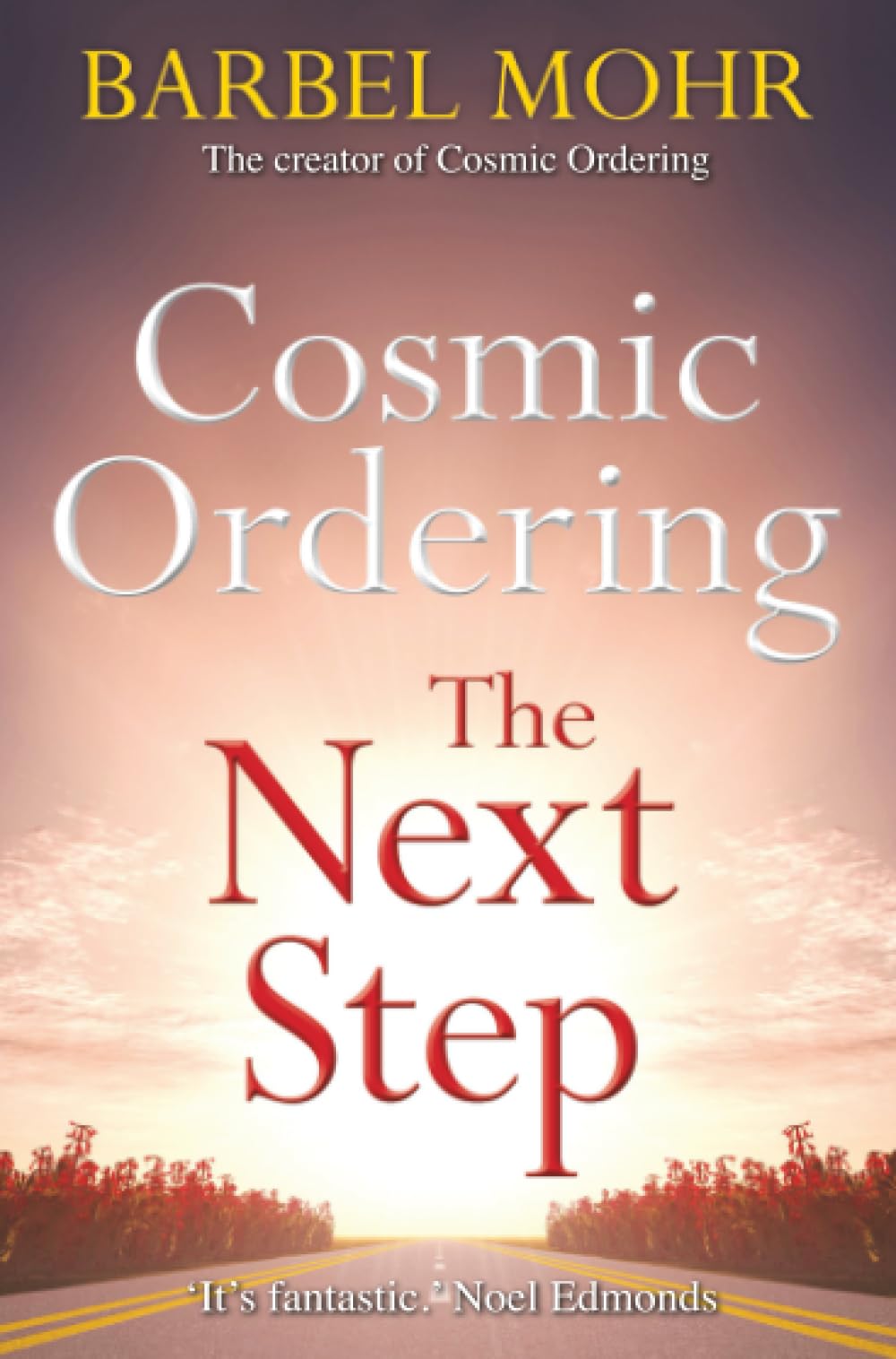 Cosmic Ordering: The Next Step: The new way to shape reality through the ancient Hawaiian technique of Ho'oponopono
