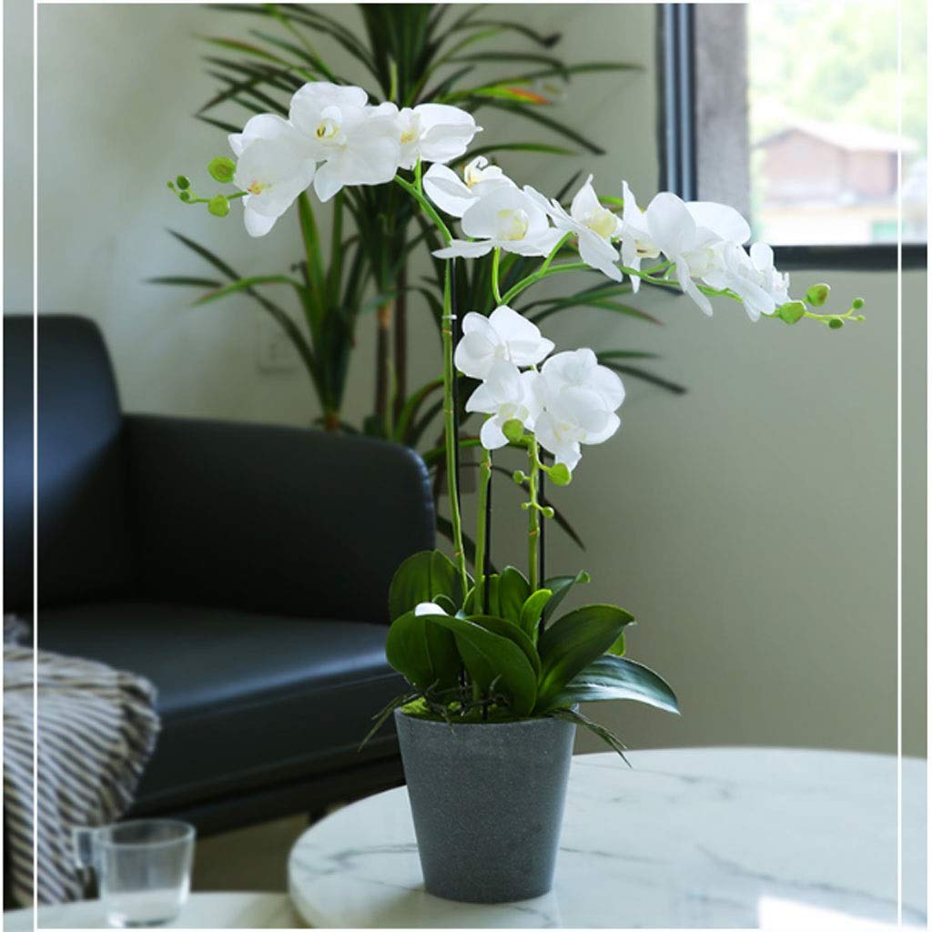Decoración con Flores Artificiales en jarrón, Flores Artificiales, decoración de Muebles, Plantas en macetas, Juego de orquídeas y Mariposas para decoración del hogar, ar