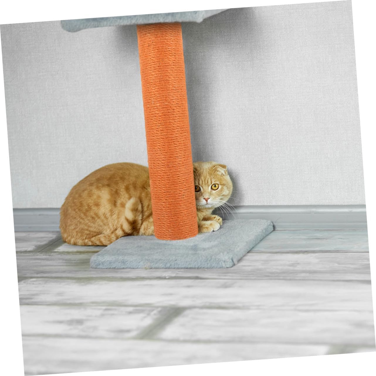 2pcs Cat Scratching Post Replacement Jute Rope Wooden Climbing Stand for Cats Indoor Activity and Claw Grinding