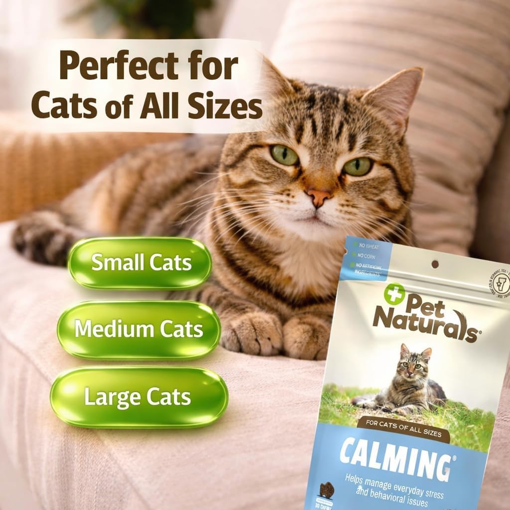 Pet Naturals Calming Chews for Cats, 30 Chicken Liver Flavored Soft Chews, Behavioral Support and Anxiety Relief for Travel, Boarding, Vet Visits and Thunderstorms, Non-Sedating Stress Relief - image 4