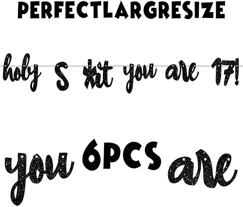 Miniatura 4 de Holy S*ht You are 17! - Telón de fondo con purpurina negra Hello 17 Cheers to 17 años de edad, decoraciones temáticas para niños y niñas, fiesta de