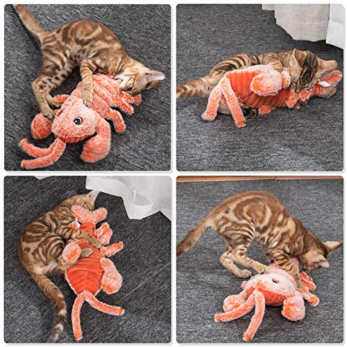 Brinquedos para animais,Funien Lagosta Cat Toy Camarão Cat Toy Simulação de brinquedo interativo de
