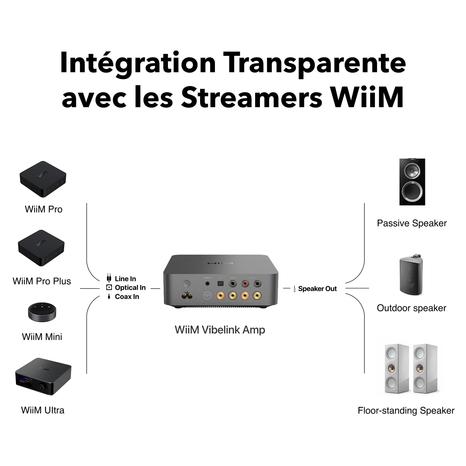 WiiM Vibelink Amp | Amplificateur de Puissance 100W avec DAC ESS 9039Q2M Haut de Gamme et TI TPA3255 | Compatible avec WiiM Mini, Pro, Pro Plus et Ultra | Entrées RCA, Coax et Optique | Gris Espace