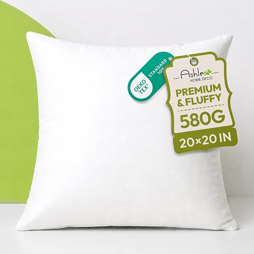 Ashler 20x20 Pillow Inserts, Soft Couch Pillows, Decorative Pillows, Throw Pillo