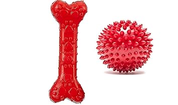 Puppies Dog Rubber Chew Toy Combo (Spike Ball Toy + Scented Paw Rubber Bone Toy