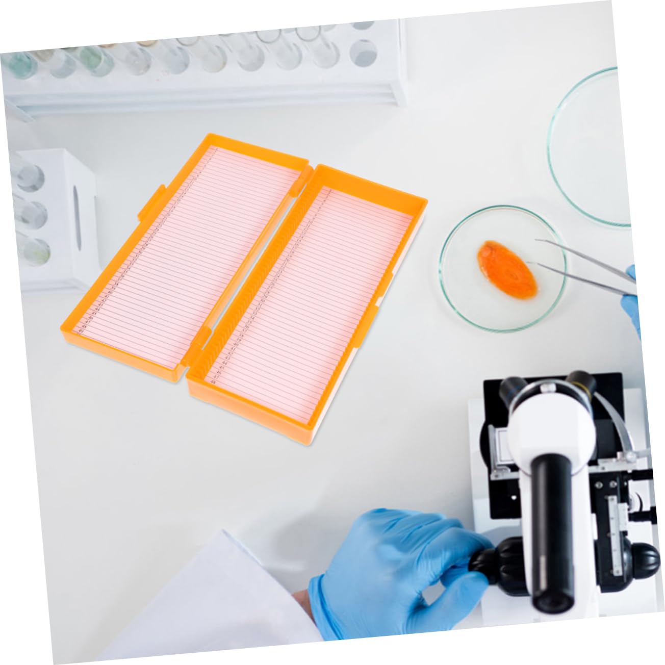 Gatuida 8pièces Boîte De Rangement Réutilisable Pour Lames De Microscope Lot De Organiseur De Glissières Pratique Et Compact Pour Laboratoires Et Salles De Classe