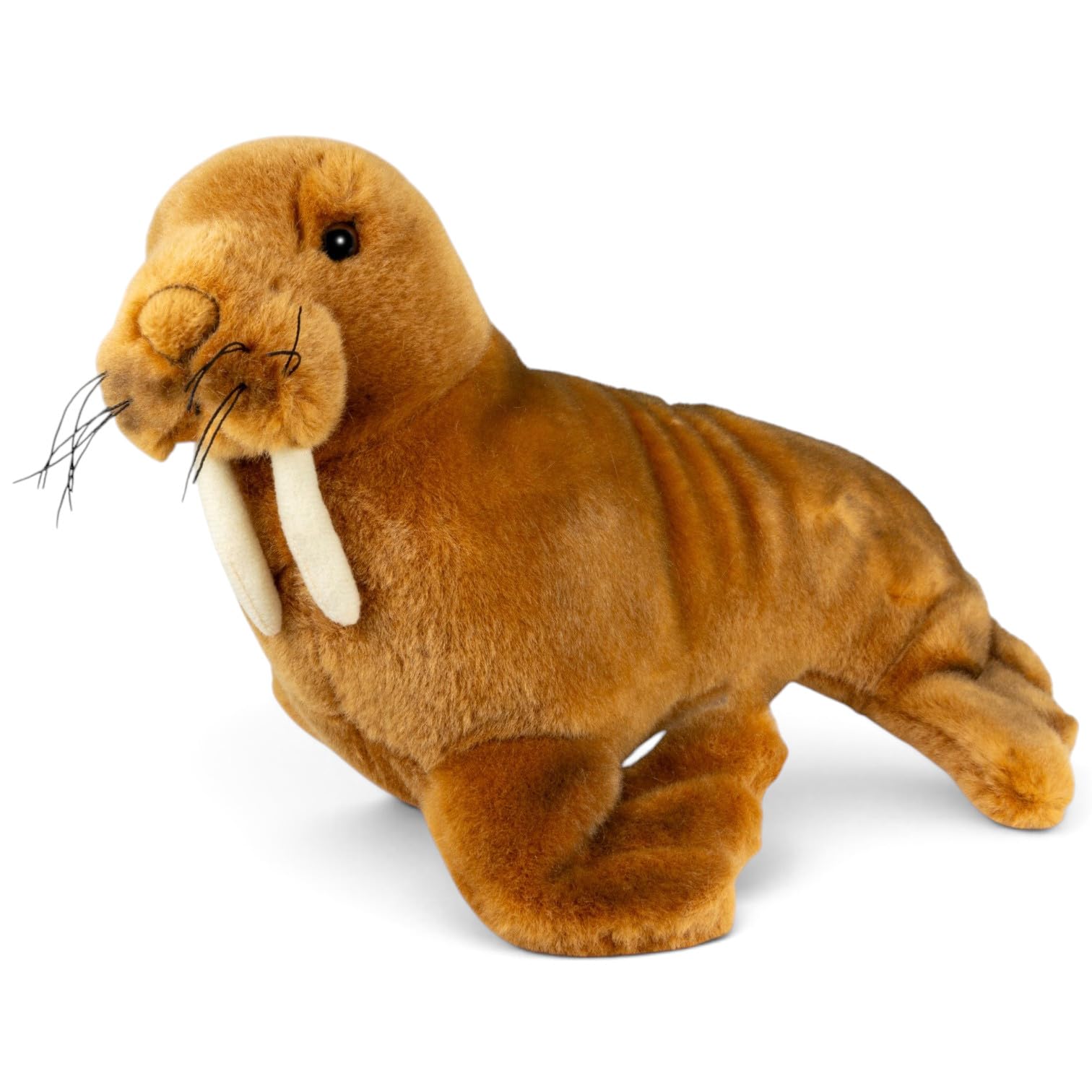 Amazon.co.jp: Carl Dick セイウチ ぬいぐるみ 約25cm 3823 : おもちゃ