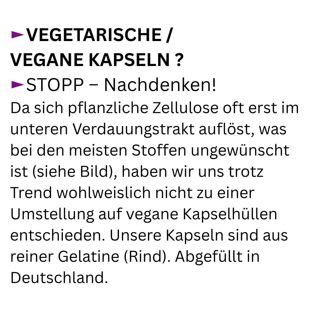 WEISSDORN Weißdorn HERZ-KREISLAUF 1080 Kapseln 3x360 "HERZKRAUT" NATUR pur Weißdornbeeren & Weißdornblätter & Weißdornblüten. OHNE ZUSATZSTOFFE. 27100-7