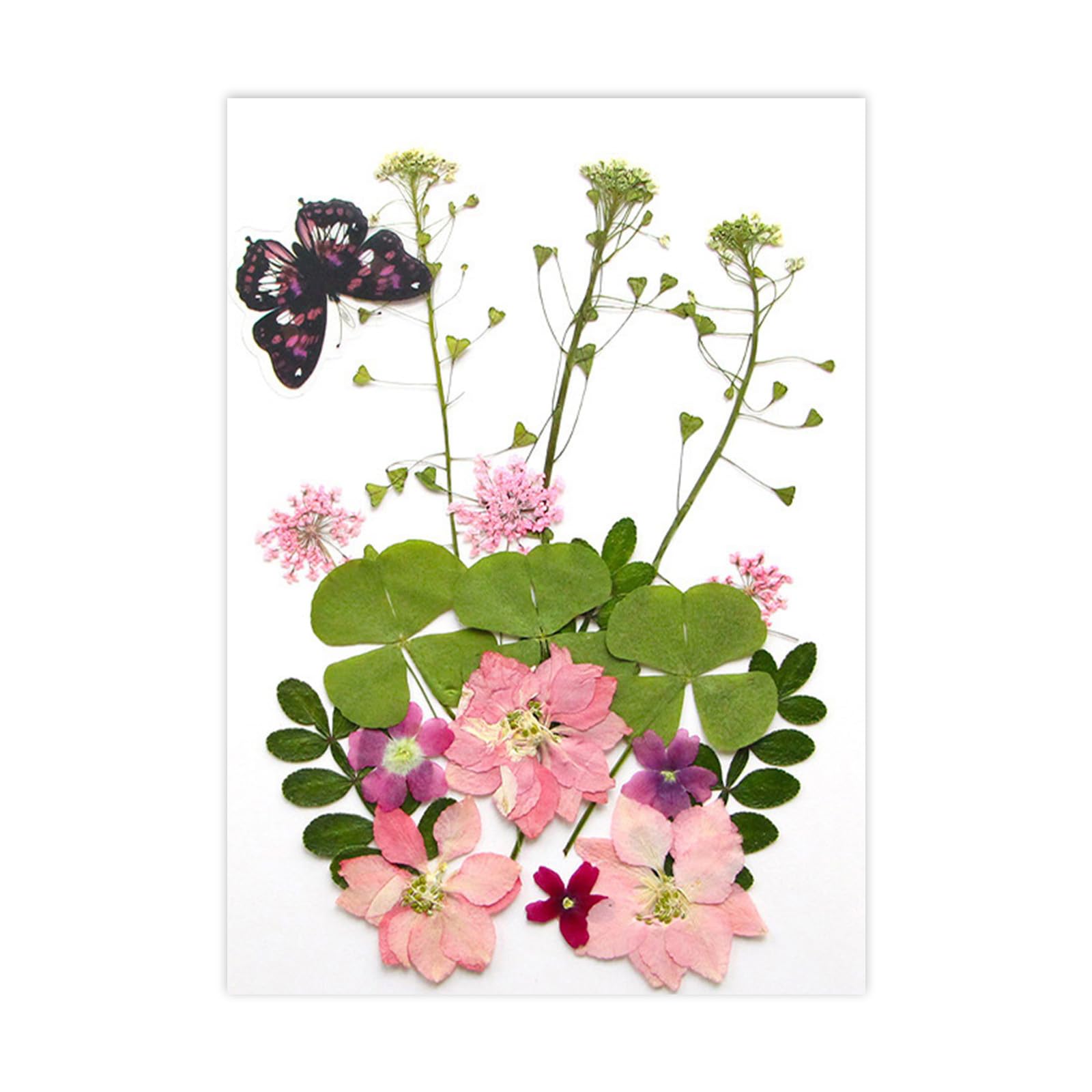 NEWFT Natural Dry Flower Leaves for Scrapbooking Bookmarks Candle Jewelry Making Pressed Natural Dried Flower For Epoxy Resin