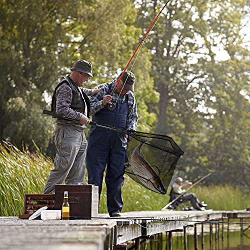 PLUSINNO Fishing Net Fish Landing Net, Foldable Collapsible Telescopic Pole Handle, Durable Nylon Material Mesh, Safe Fish Catching or Releasing (20")