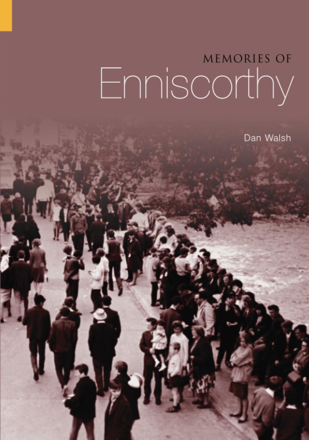 Memories of Enniscorthy