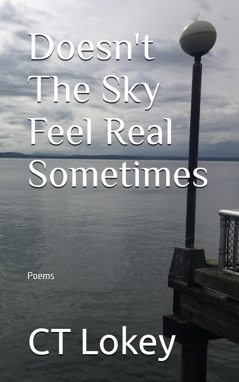 Doesn't The Sky Feel Real Sometimes: Poems