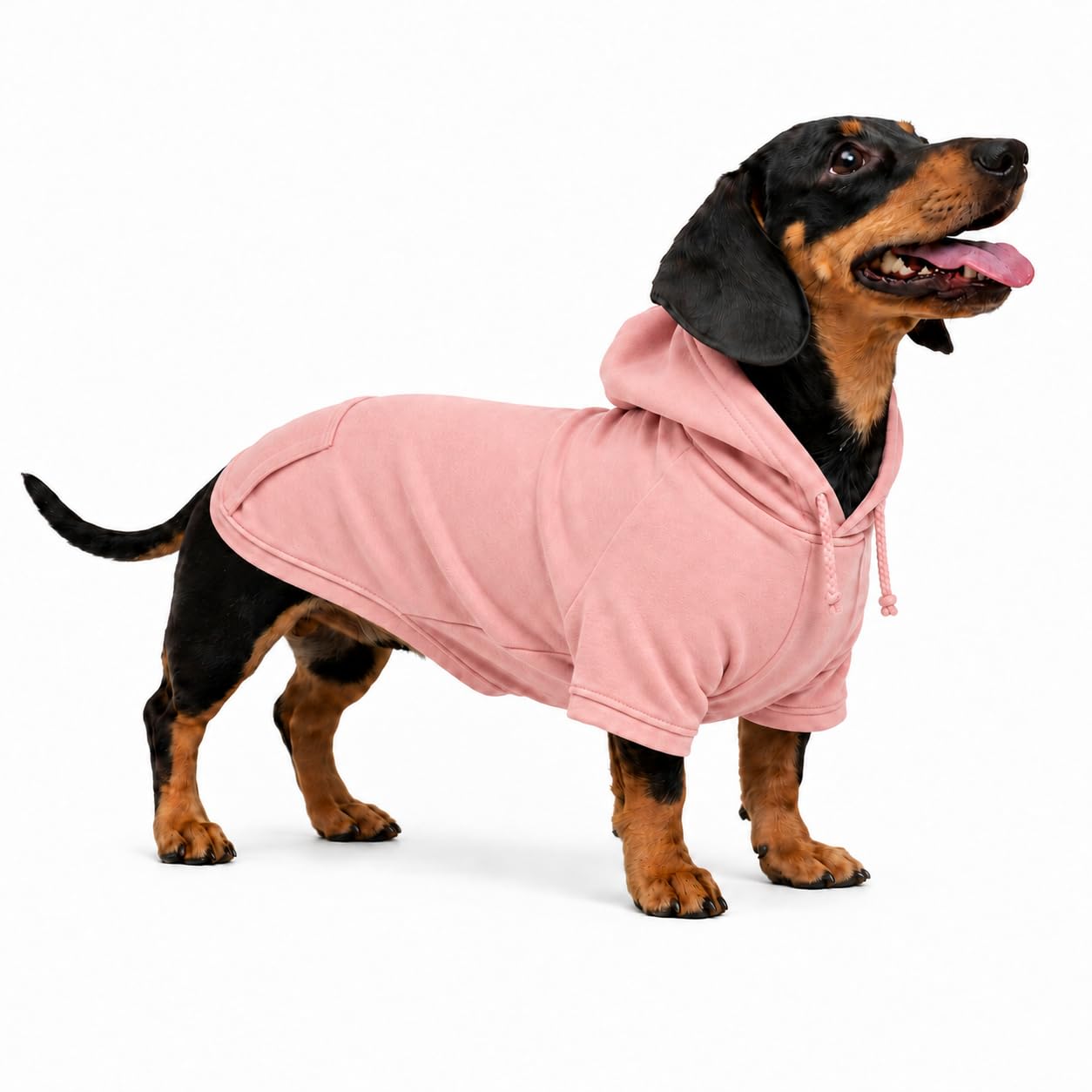 Lovelonglong Blank Basic Hoodie Sweatshirt for Dogs