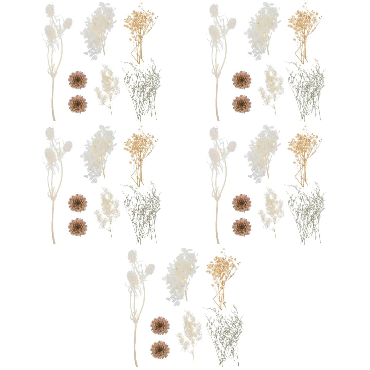 COHEALI 5sets Fiori Secchi Pressati Per Fiori Naturali Per Creazioni Candela e Decorazioni Fai Da Te Materiale Per Biglietti Di Auguri e Arte Unghie