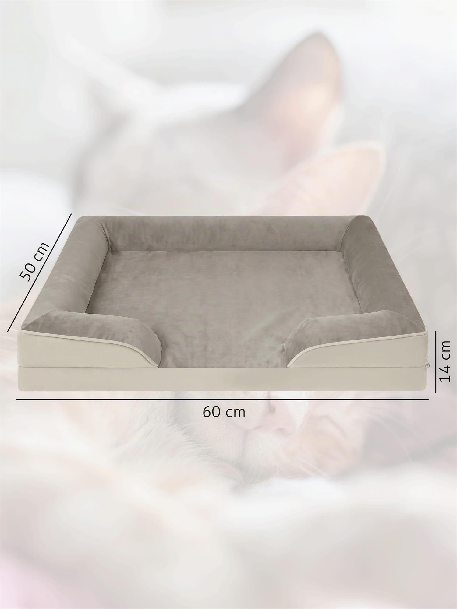Ergonomisches Katzenbett für Europäische Kurzhaar, 50x60x14 cm, für Maine-Coon und kleine Hunde - Orthopädisches Katzenkissen - waschbares Katzenkörbchen mit hohem Rand Beige 50 cm x 60 cm x 14 cm