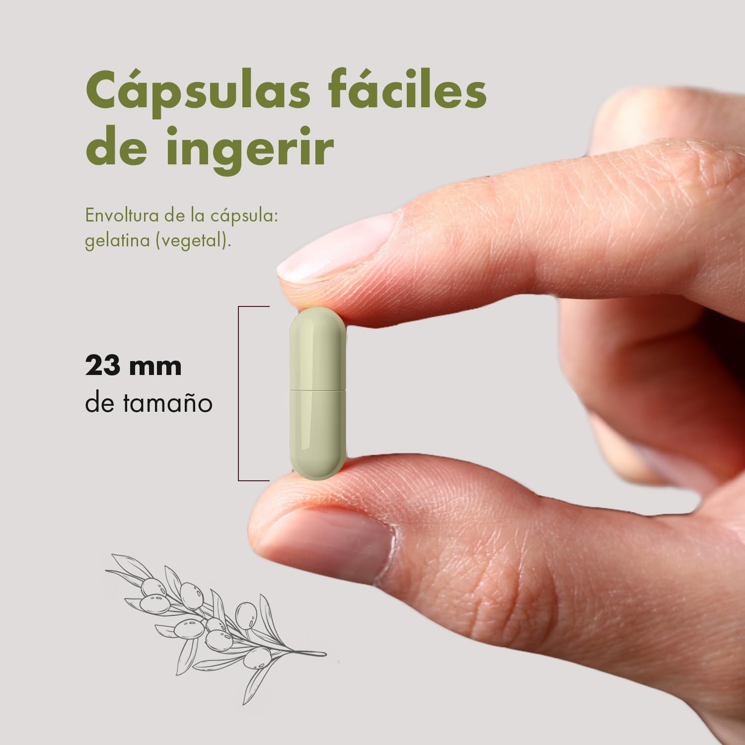 Granatum Plus - Hidroxitirosol Plus - Complemento Alimenticio - Extraído de Aceite de Oliva Virgen Extra - Suplemento Antioxidante - Bienestar General - Producido en España (2 Cajas de 60 cápsulas)