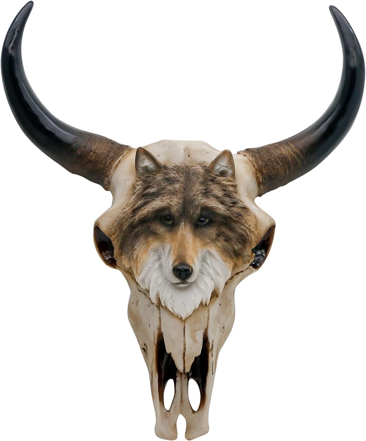 alikiki Longhorn Cow Skull Wall Decor Large Animal Head