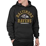 Junk Food Clothing x NFL - Baltimore Ravens - Classic Team Logo - Unisex Adult Pullover Fleece Hoodie for Men and Women - Size Medium, Black