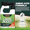 Turf Perk Lawn Boost Solution Spray 32 fl oz Covers 5,000 Sq Ft Amino Acid Lawn Formula Hose-End Application for Routine Care Safe for Pets & Kids