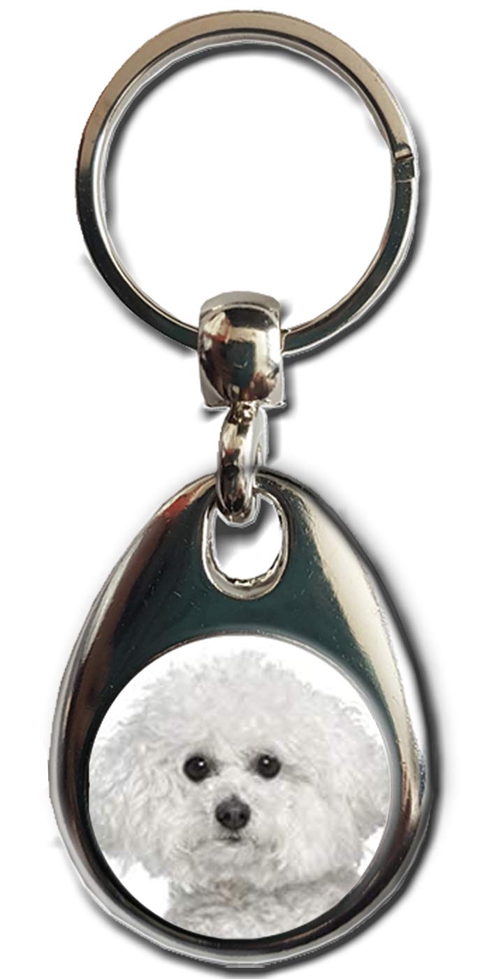 Kazmugz Multicolor Bichon Frise Keyring. Heavy Quality Metal Gift Keyring. Double Sided Keychain. Dog Gift.