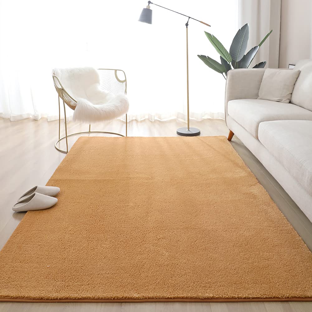 Tapis de salon shaggy antidérapant Ruby Lil, grand format 200x250cm pour chambre