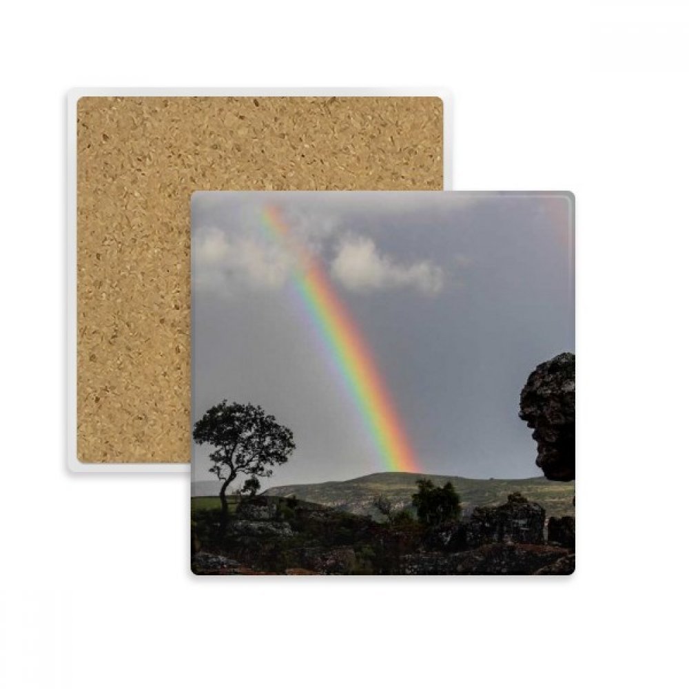 Dessous de verre Rainbow Sciences forestières pour sublimer vos pauses café au salon