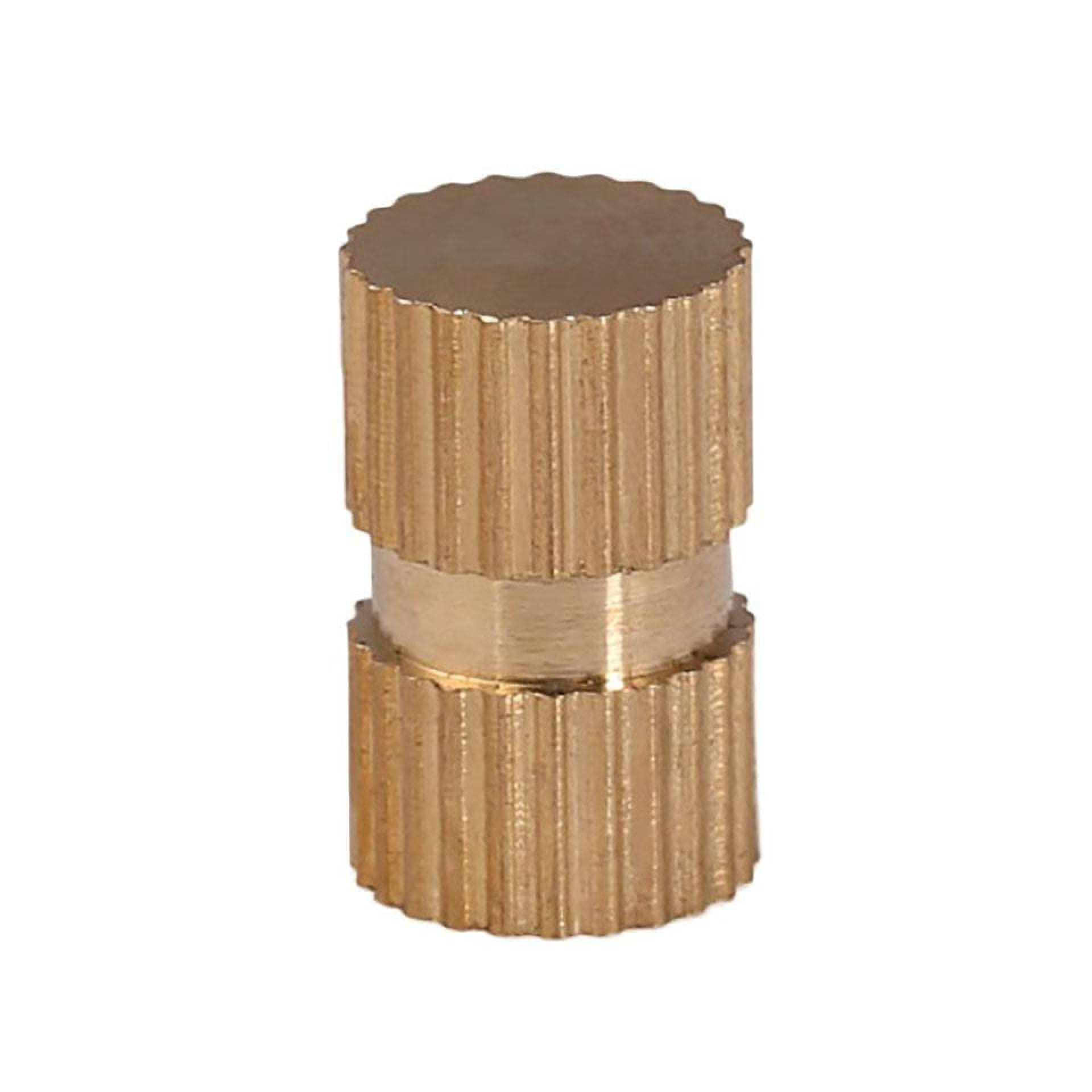 Mosiężne radełkowane nakrętki gwintowane M3 M4 M5 M6 M8 M10 Nakrętka uchwytu z otworem ślepym do formowania wtryskowego(2pcs-m4x6x10)