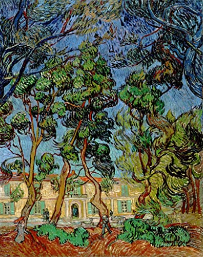 Arbres du jardin St Paul Van Gogh toile murale 60x90cm pour réveiller un salon triste