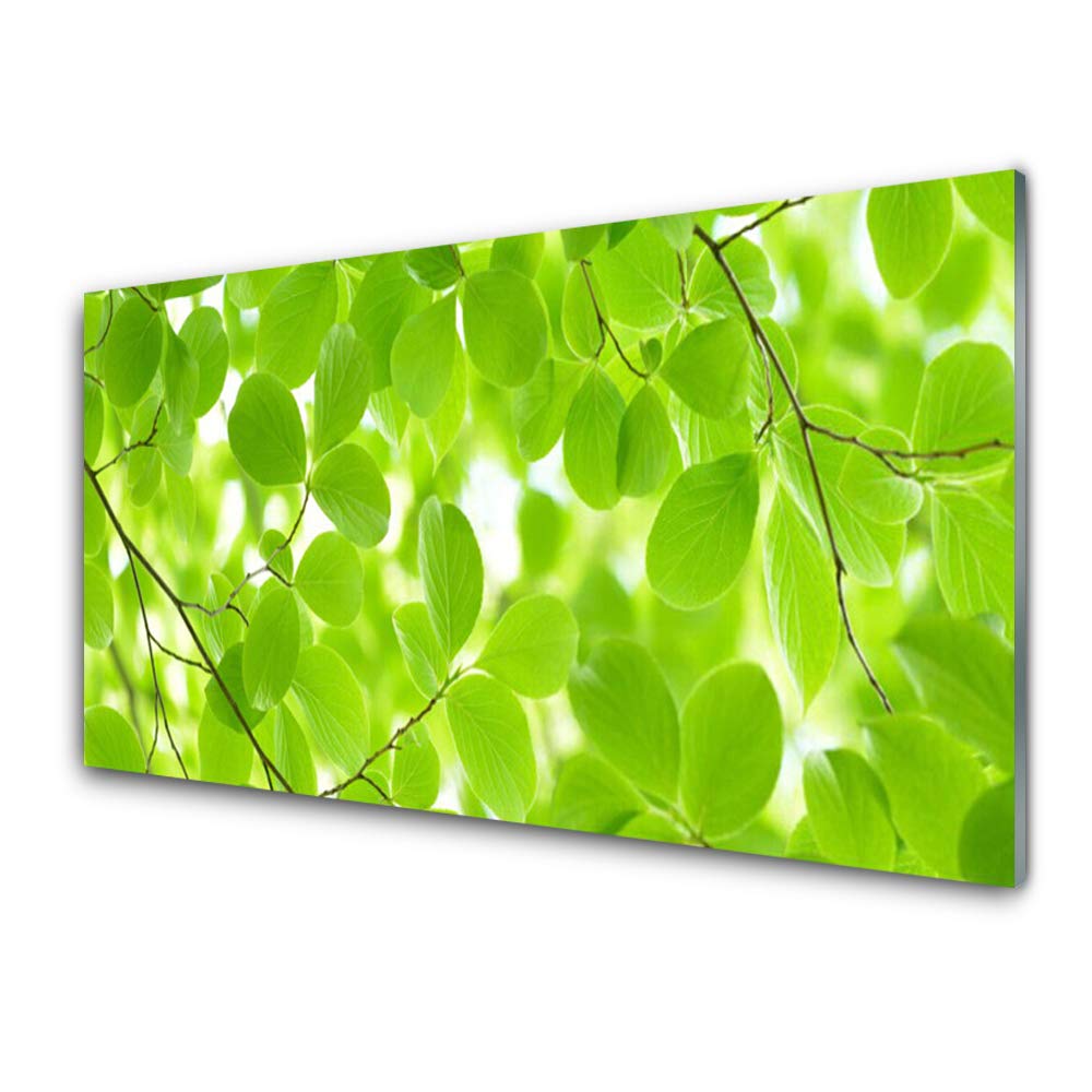Tableau déco mural en verre trempé 100x50cm feuilles nature résistant pour cuisine