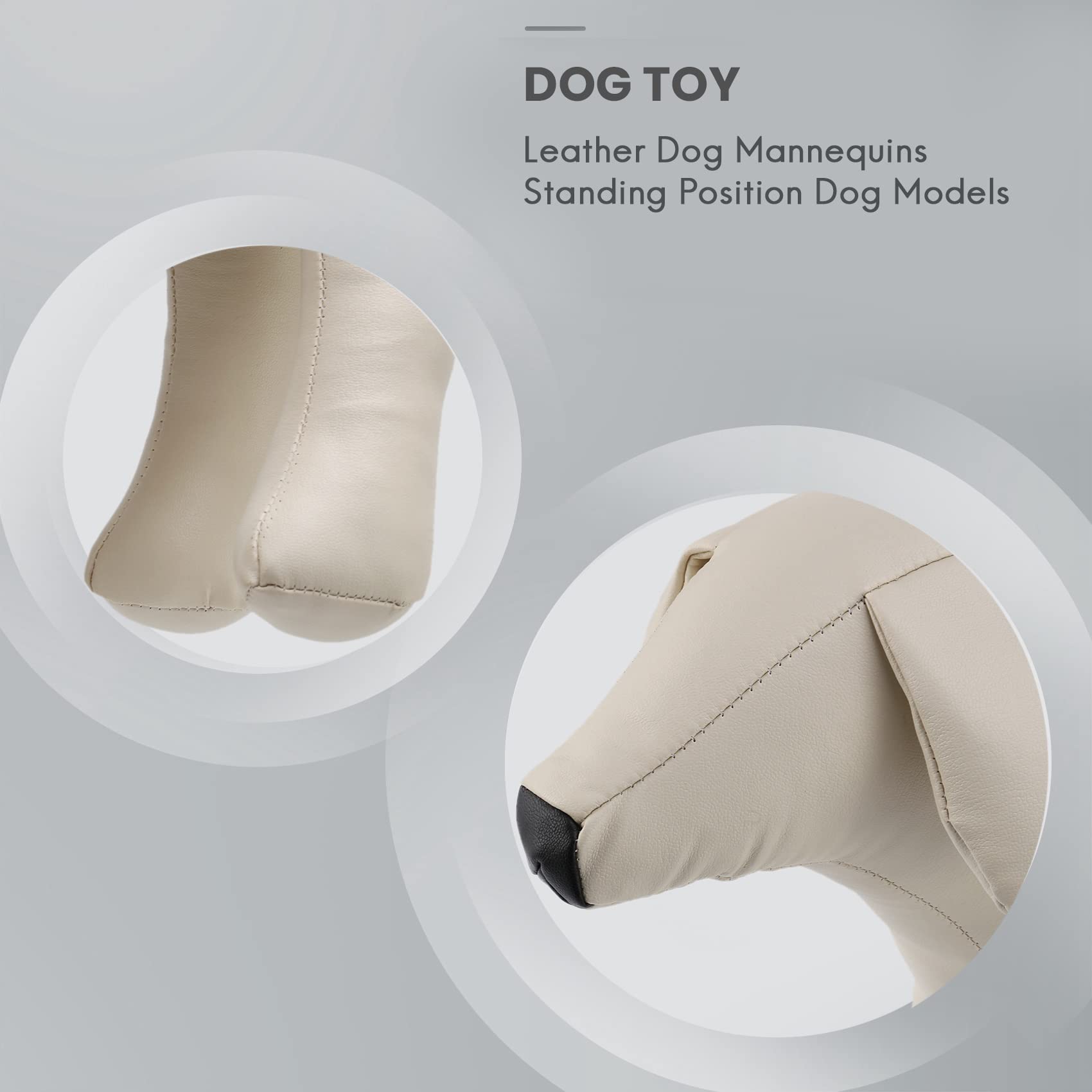 Mannequins De Chien en Cuir De ModÈLes De Chien De Position Debout Mannequin d'Affichage De La d'animal De Compagnie Blanc M