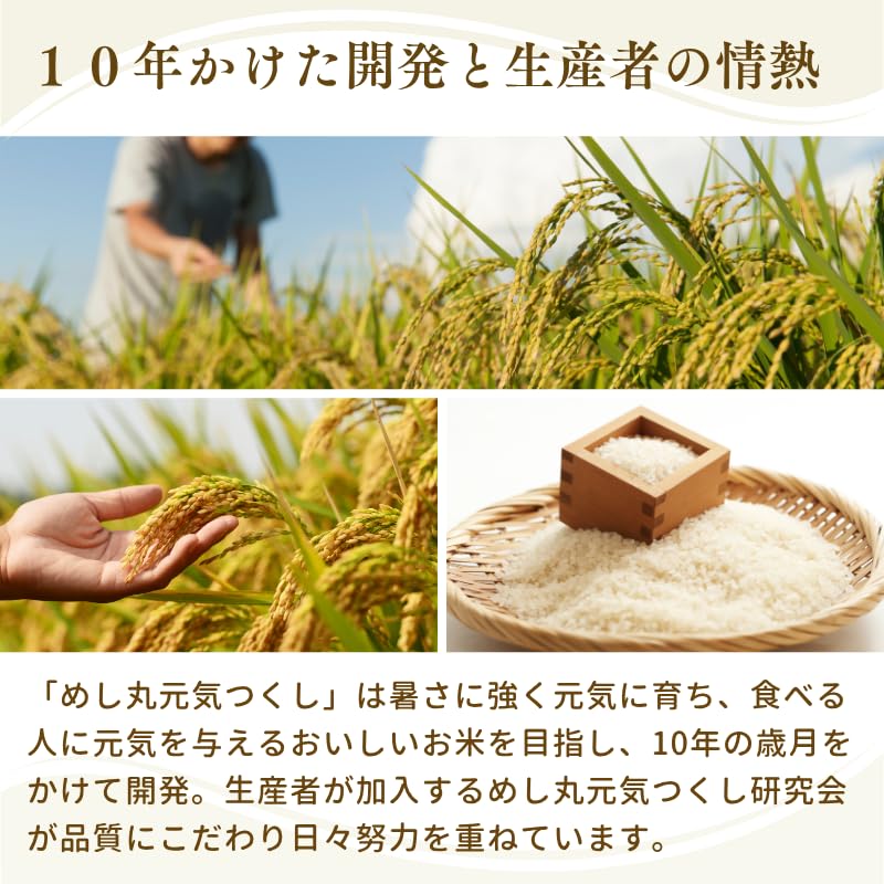 Amazon.co.jp: 令和7年産 福岡県産 金のめし丸 元気つくし 1kg