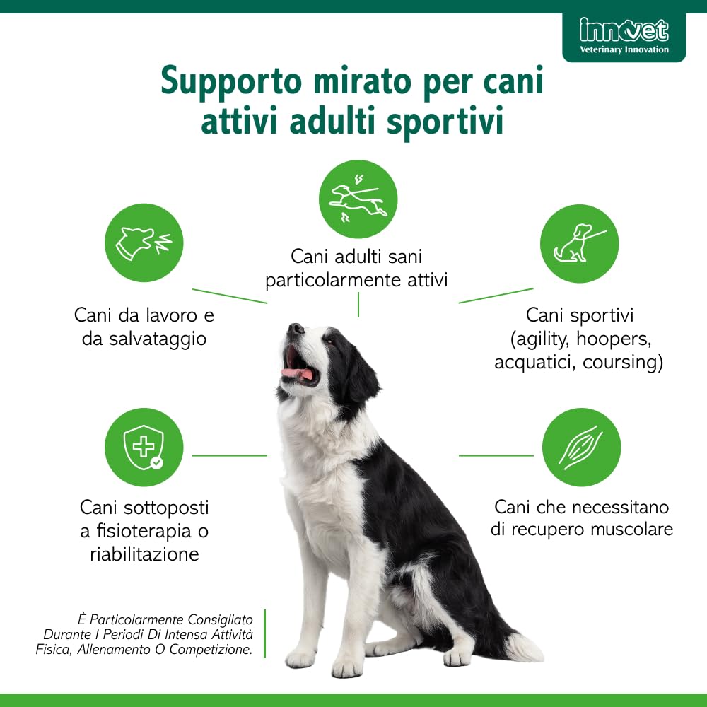 Innovet Condrogen Adult & Sport per cani – 60 bustine stick - Supporto articolare avanzato per cani adulti e cani sportivi, aiuta a mantenere mobilità, performance articolare e recupero muscolare