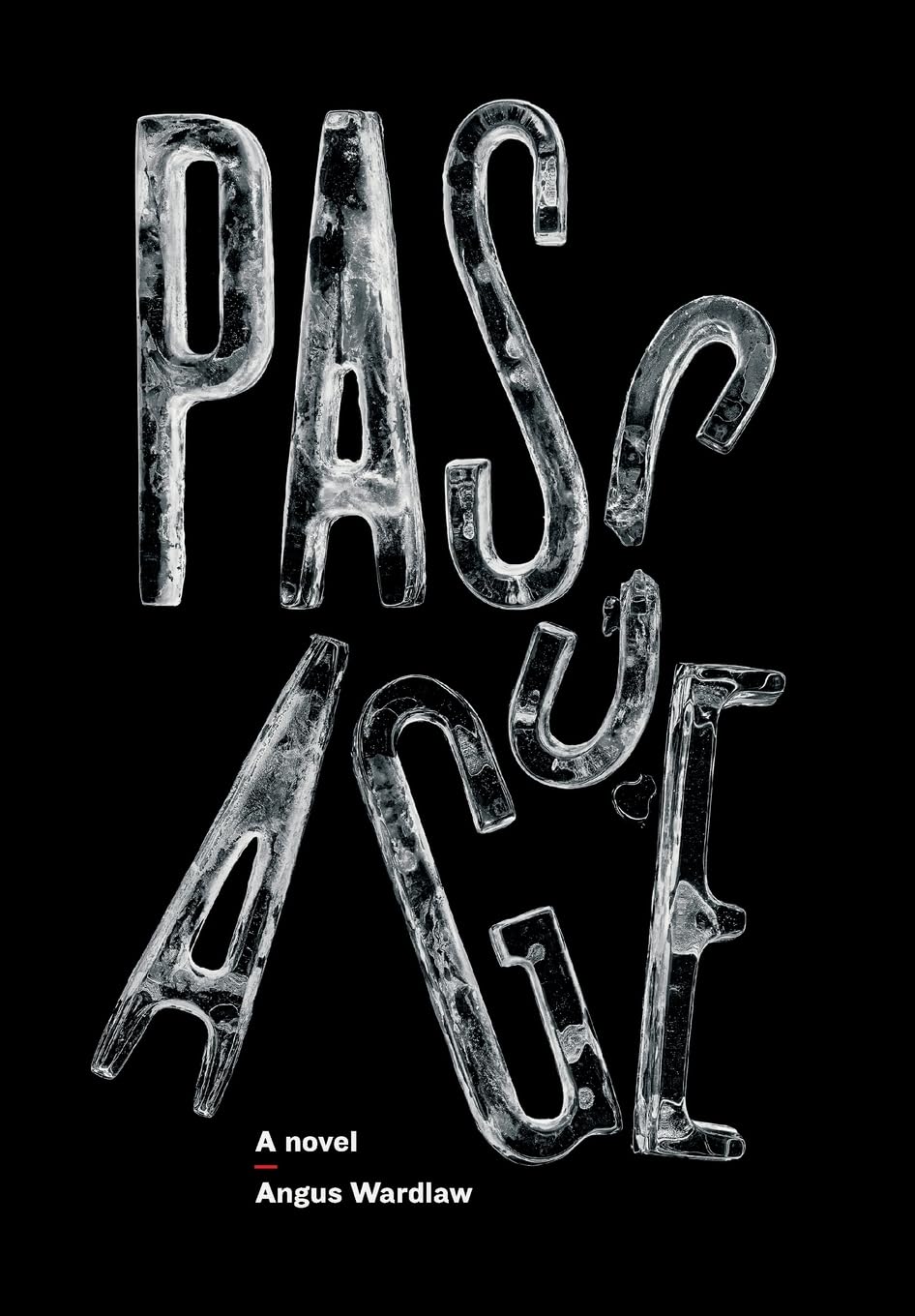 Passage: A Novel