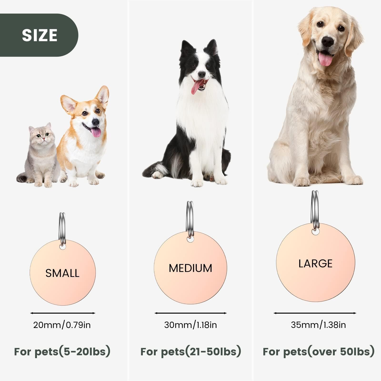 Medaglietta Cane Personalizzata Ibera - Forma Zampa, Alluminio, Incisione Laser, Fino A 4 Righe