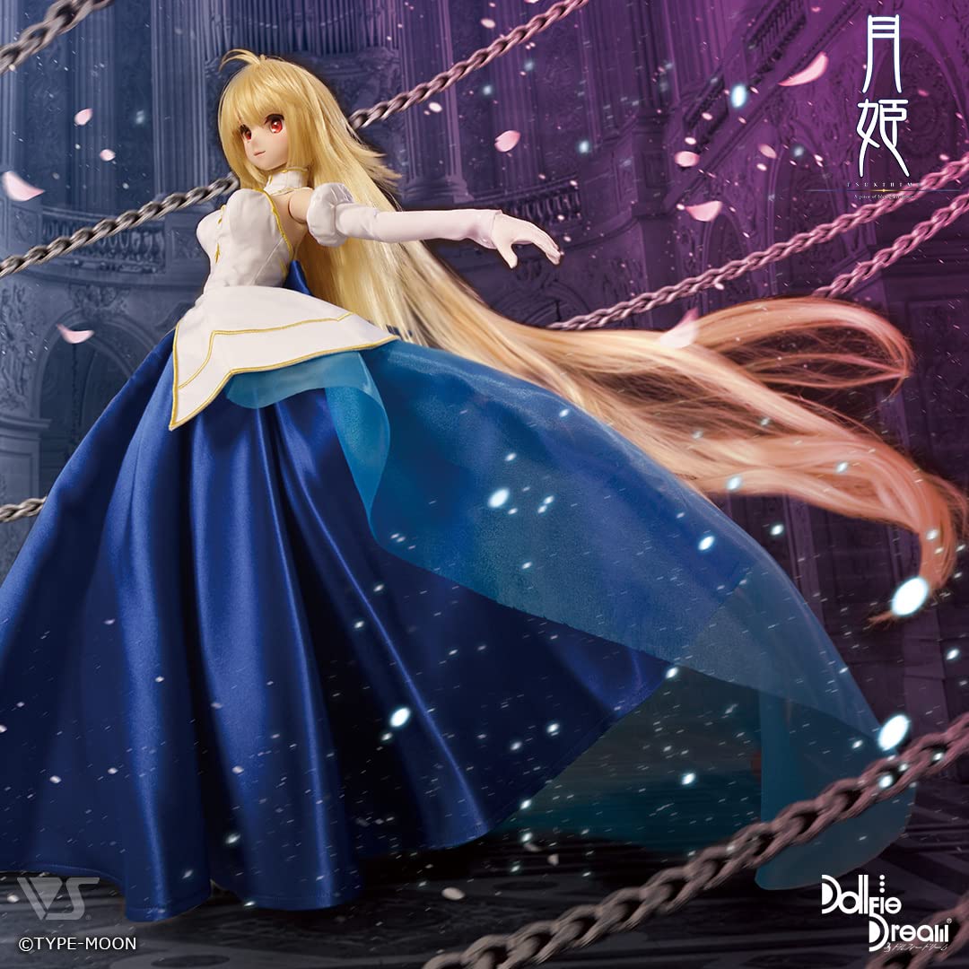 Amazon.co.jp: DD アルクェイドブリュンスタッド 月姫 +「真祖の