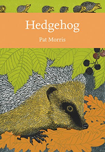 Hedgehog