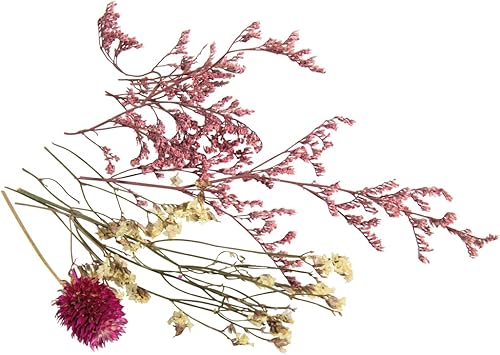 Rayher Assortiment de mini fleurs séchées naturelles, rose, 1 boîte, 5-15cm, art