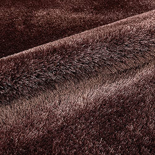 Image of Carpet for Living Room, 4x6 Feet Brown Solid Plain Modern Polyster Luster Shaggy Ultra Thick and Pluffy Soft Shag Area Rug for Your Bedroom, Kid Room, Office and Home