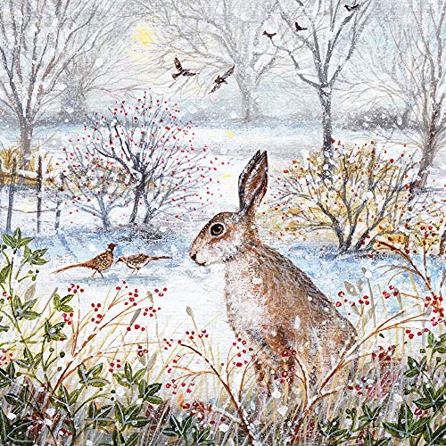 Museums & Galleries - Confezione da 20 biglietti