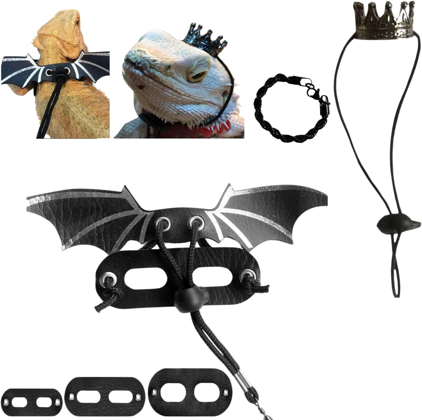 5 Pieces Bearded Dragon Accessories Toy Set Bearded