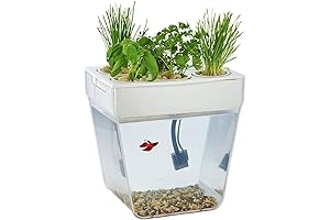 Water Garden Betta Fish Tank