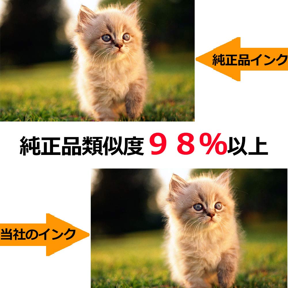 Amazon.co.jp: 【Smile Cat】エプソン用IC80 IC6CL80L インク