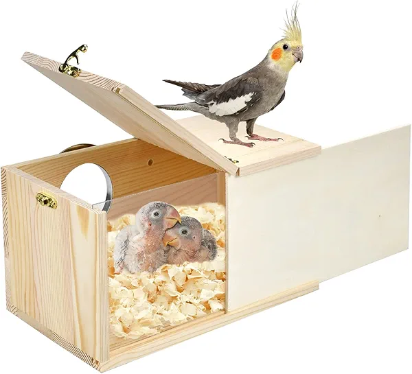 CooShou Parakeet Nesting Box Cockatiel Nesting Natural Pine Bird Nest Bird Breeding Box House Acrylic Transparent Bird Box with Detachable Wooden Board for Lovebirds Cockatiel Budgie Conure Parrot L