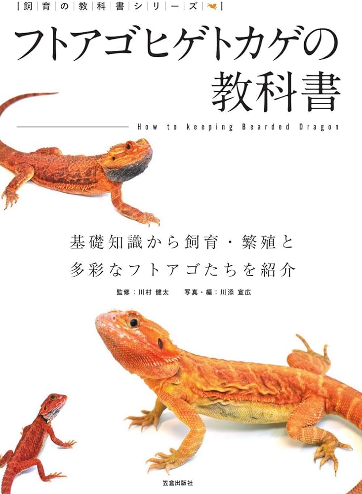 フトアゴヒゲトカゲの教科書 (飼育の教科書シリーズ) | 川村 健太