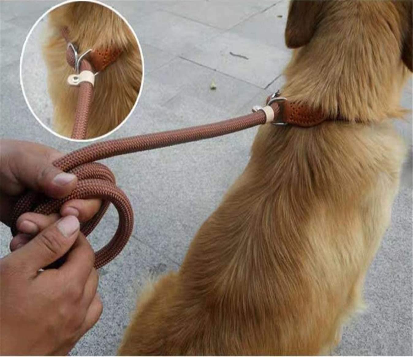 Correa Perro Cadena De Correa Para Perro, Collar Deslizante, Correas Para Caminar, Nailon Para Perros, Cuerda Para Escalar Montañas, Cachorro, Tracción Para Mascotas Para Perros Correa Perro Suave(Rot
