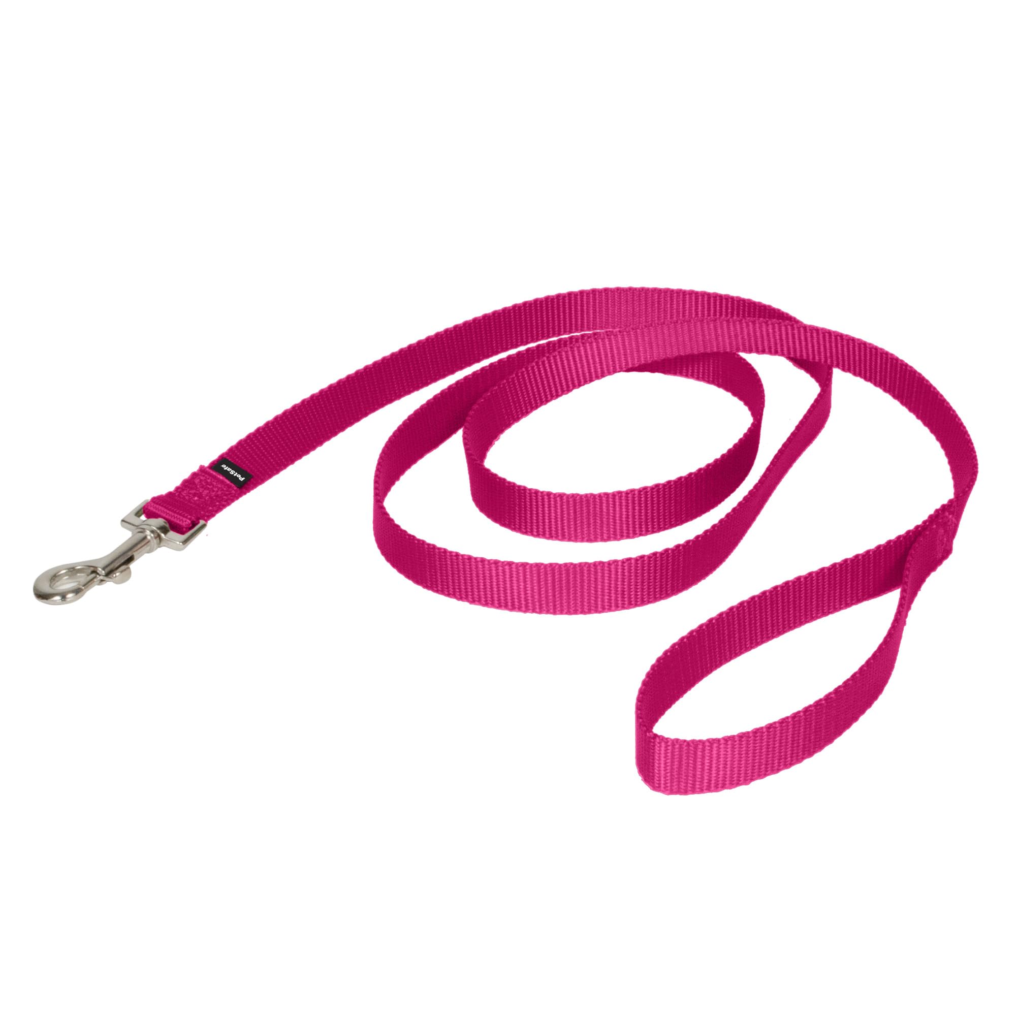 PetSafe Nylon Dog Leash - Strong, Durable, Traditional Style Leash with Easy to Use Bolt Snap - 3/4 in. x 6 ft., Deep Purple