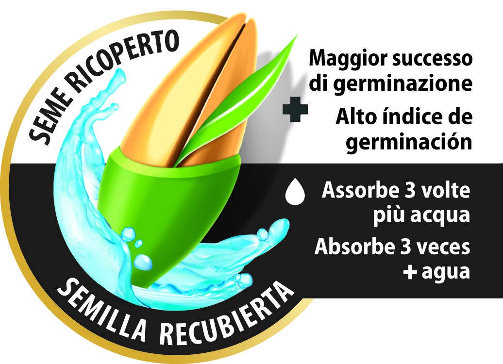 COMPO SEMI per Prato al Sole, Miscela Speciale, Seme Ricoperto, Germinazione Rapida, Per Prati Soleggiati, 1 kg