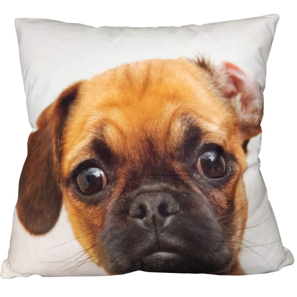 ZBW ImpexSuper Soft Velvet Cute 3D Animal Themed Square Cushion Covers Decorative Dogs Pillowcase For Home Sofa Bedroom Living Room 18 x 18 inch (Pug)